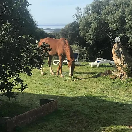 Amalfatah Tuerredda Vendégház