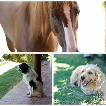 Amalfatah Tuerredda Vendégház Teulada