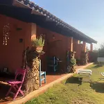 Amalfatah Tuerredda 3*