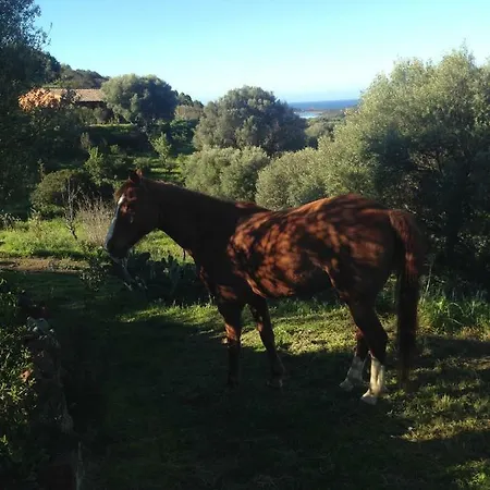 Amalfatah Tuerredda 툴라다