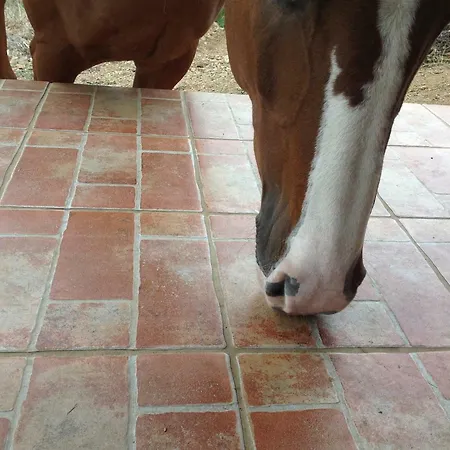 Amalfatah Tuerredda 게스트하우스 3*